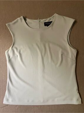 Ann Taylor Sleeveless Crewneck Camisole in Blue
